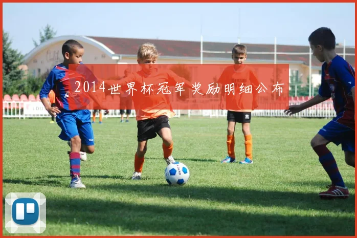 2014世界杯冠军奖励明细公布