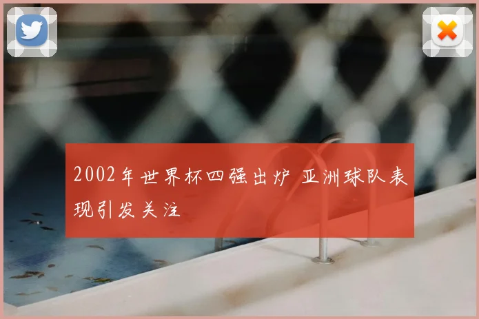 2002年世界杯四强出炉 亚洲球队表现引发关注