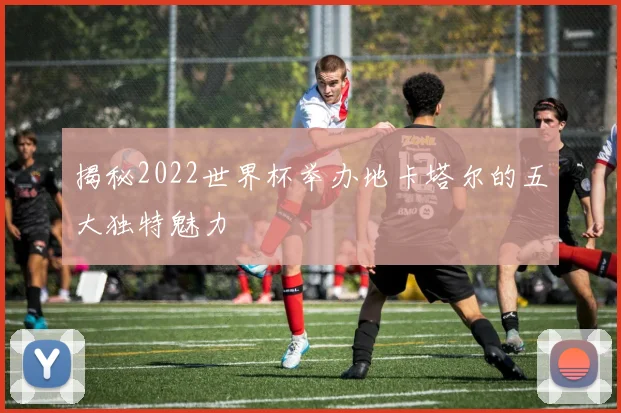 揭秘2022世界杯举办地卡塔尔的五大独特魅力