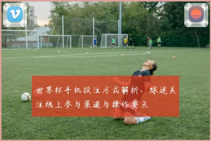 世界杯手机投注方式解析，球迷关注线上参与渠道与操作要点