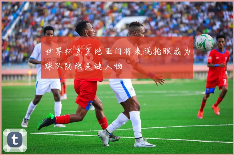 世界杯克罗地亚门将表现抢眼成为球队防线关键人物