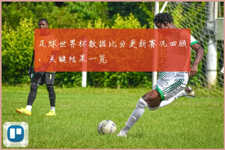 足球世界杯数据比分更新赛况回顾，关键结果一览