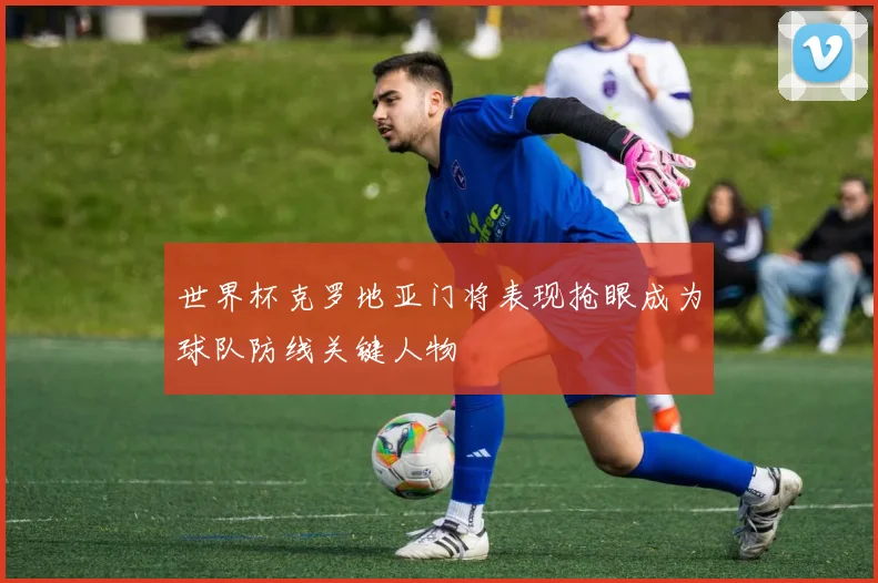 世界杯克罗地亚门将表现抢眼成为球队防线关键人物