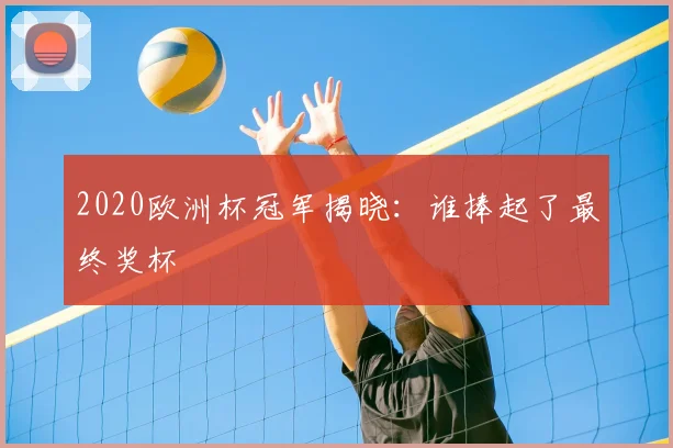 2020欧洲杯冠军揭晓:谁捧起了最终奖杯