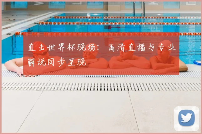 直击世界杯现场:高清直播与专业解说同步呈现