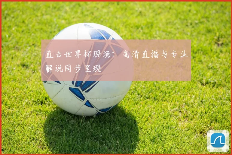 直击世界杯现场:高清直播与专业解说同步呈现