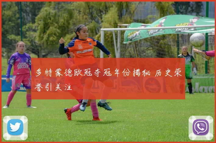 多特蒙德欧冠夺冠年份揭秘 历史荣誉引关注