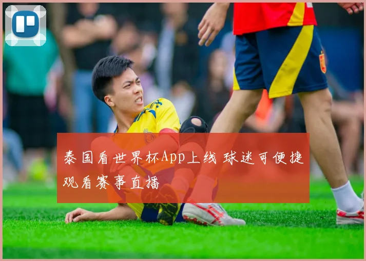 泰国看世界杯App上线 球迷可便捷观看赛事直播