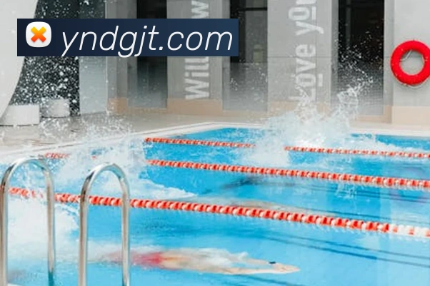 世界杯app官网发展历程